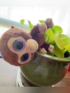 Ty Plush Brown Monkey